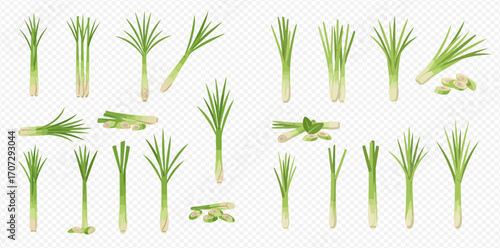 Collection of lemongrass stalks, bunches, and cut pieces, illustrating various forms of this herb.