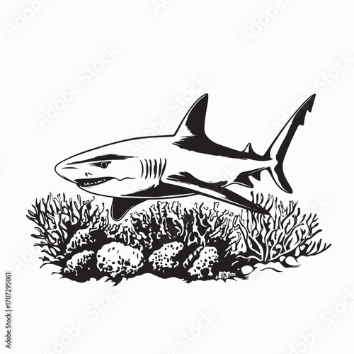 Graceful shark swimming peacefully through coral reef vector illustration on white background