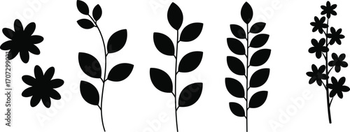 Botanical silhouette set of flowers, leaves, stems, floral elements for nature design, decorative illustration, vector art, black icons