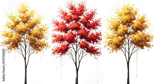Three autumn trees with vibrant foliage in yellow and red, stylized vector illustration for seasonal change, nature, fall landscape concept design