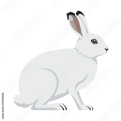 White arctic hare illustration – flat illustration