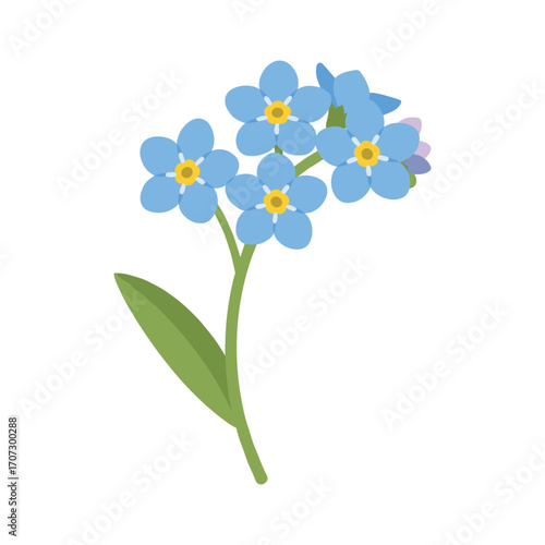 Blue forget-me-not flowers with green leaves – flat illustration