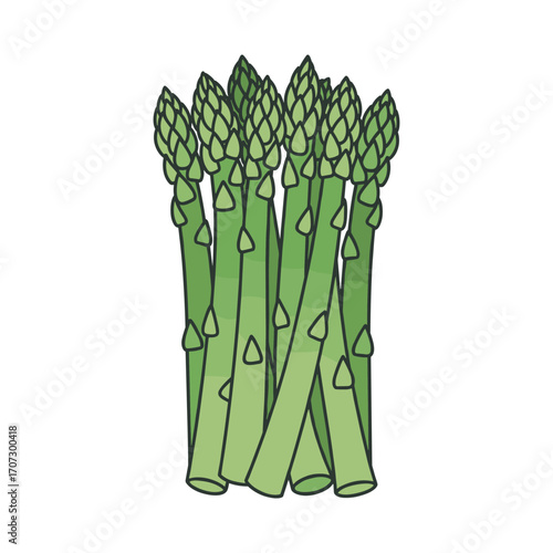 Fresh green asparagus stalks – flat illustration