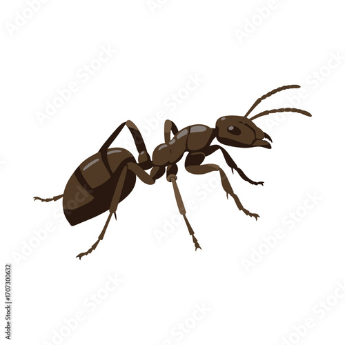 Detailed illustration of a brown ant on a – flat illustration