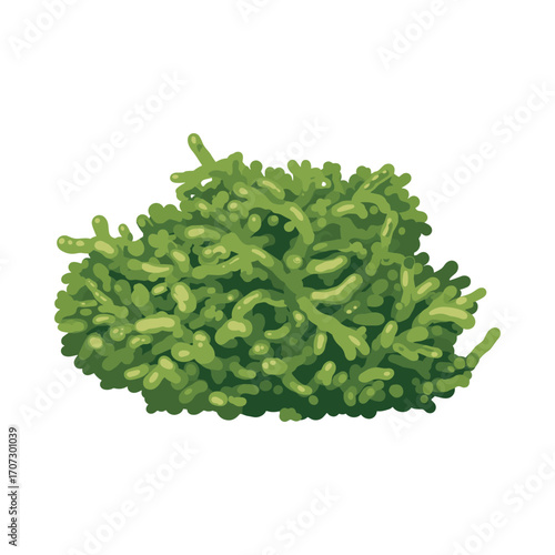 Green algae bunch on white background: vibrant aquatic plant life – flat illustration
