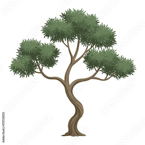 Elegant bonsai tree with gnarled trunk and dense foliage – flat illustration