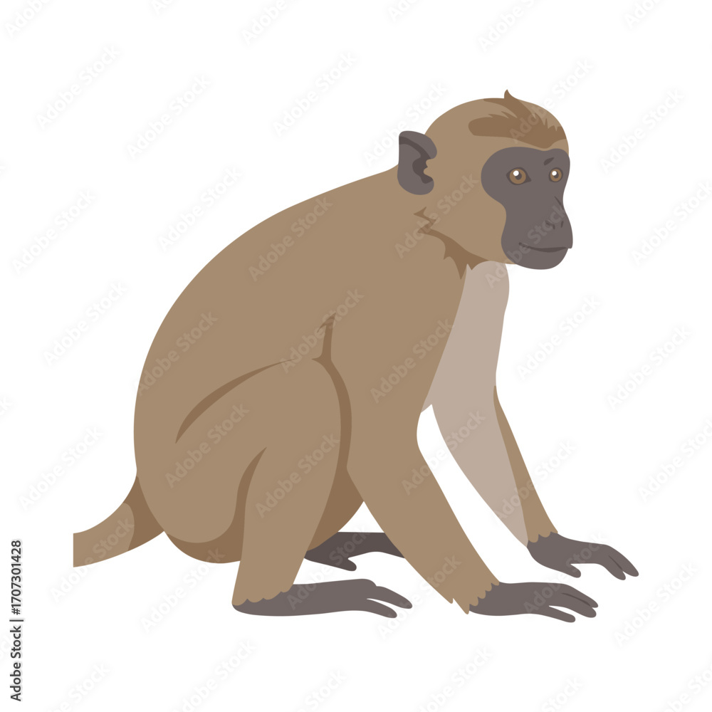 Fototapeta premium Illustration of a sitting monkey on a – flat illustration