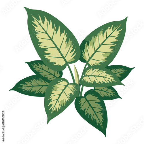 Green and cream variegated tropical plant illustration with six leaves – flat illustration
