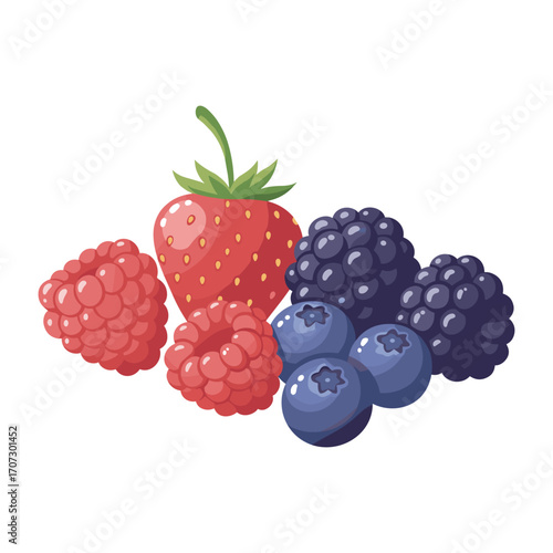 Fresh berries assortment: strawberry, raspberry, blueberry, blackberry cluster – flat illustration