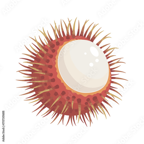 Open rambutan fruit with white flesh and spiky red shell – flat illustration