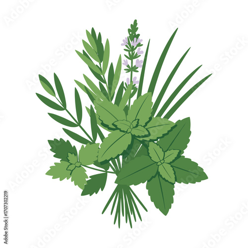 Fresh herb bunch: mint, rosemary, lavender, thyme, parsley illustration – flat illustration