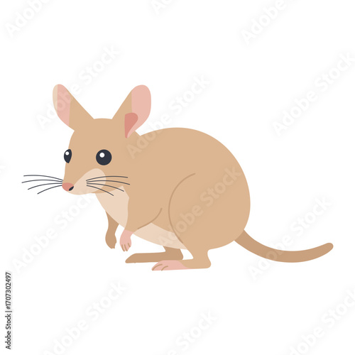 Cute cartoon bilby with long whiskers and big ears – flat illustration