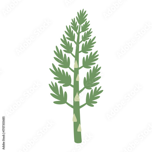 Simplistic green conifer tree illustration with – flat illustration