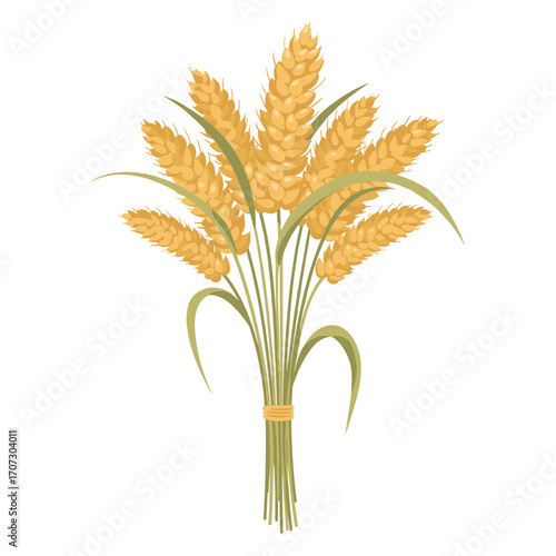 Bunch of golden wheat ears with green stems – flat illustration