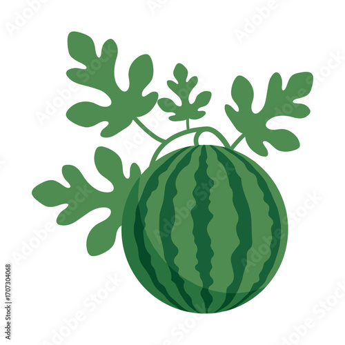 Green watermelon with leaves illustration – flat illustration
