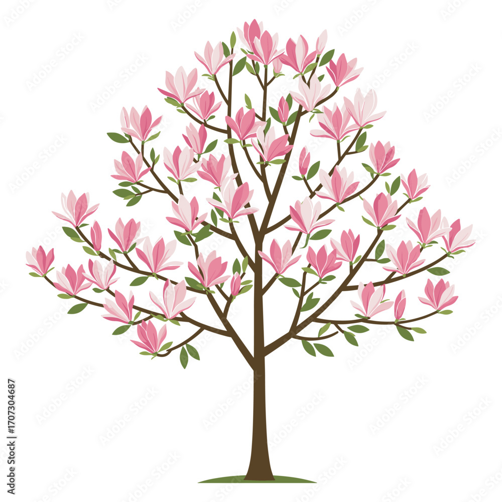 Fototapeta premium Blooming magnolia tree with pink flowers and green leaves – flat illustration