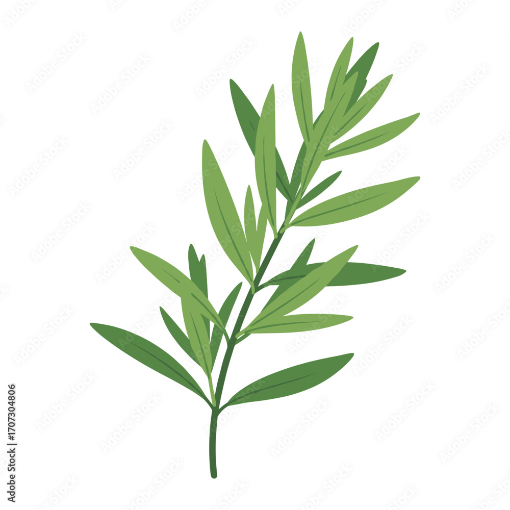 Fototapeta premium Herbal nature: vibrant green rosemary sprig illustration – flat illustration