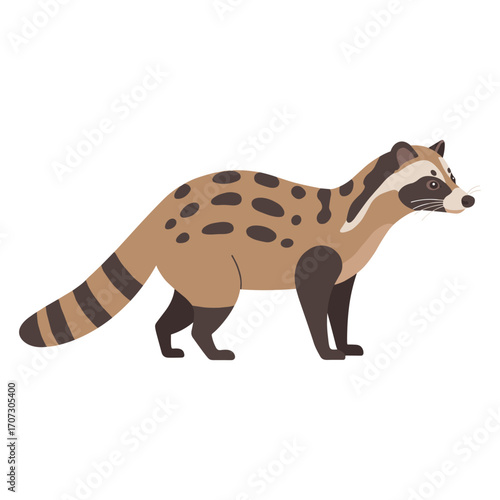 Illustrated african civet in profile with distinctive markings – flat illustration