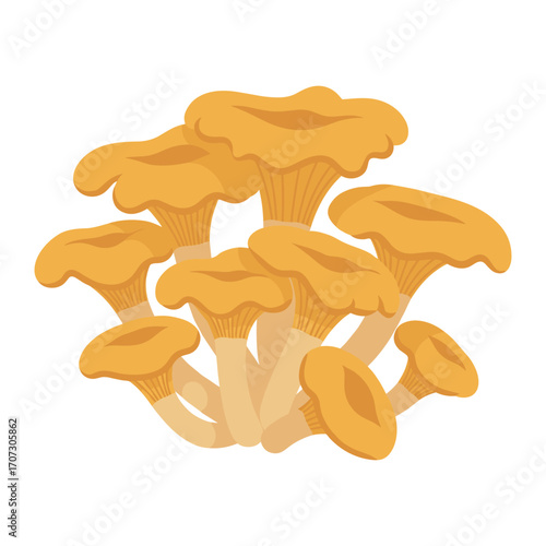 Yellow chanterelle mushrooms cluster – flat illustration