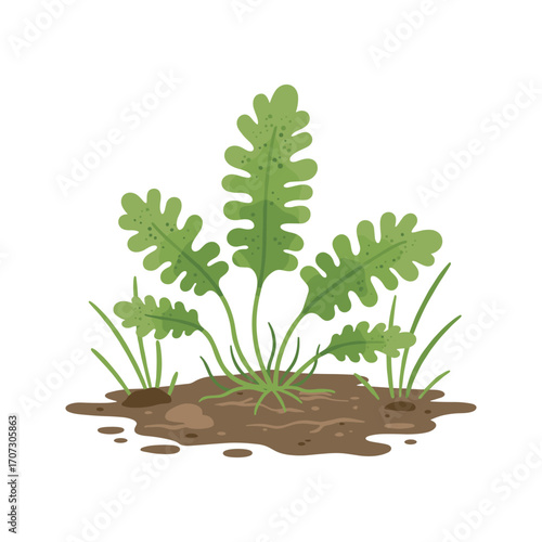 Green dandelion plant in soil – flat illustration