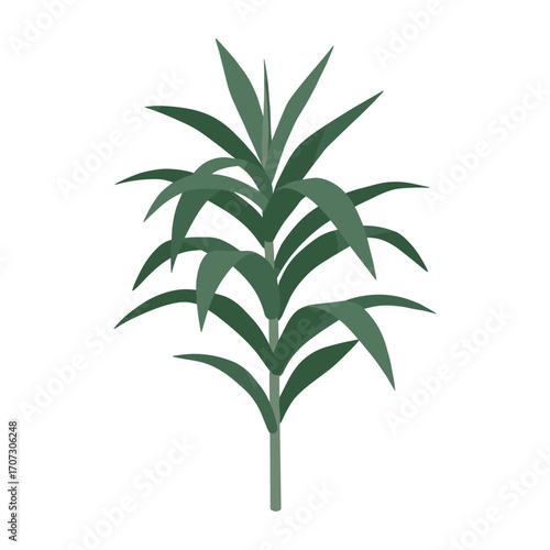 Vibrant green yucca plant against – flat illustration