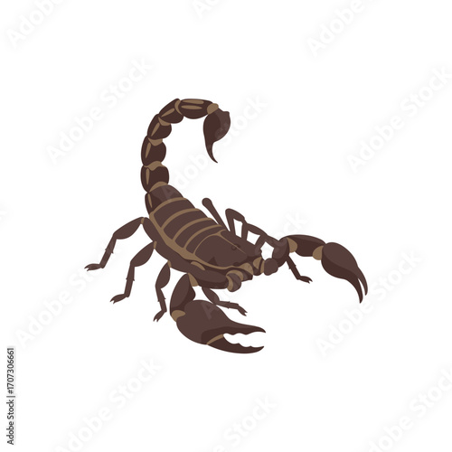 Detailed illustration of a brown scorpion with raised tail – flat illustration