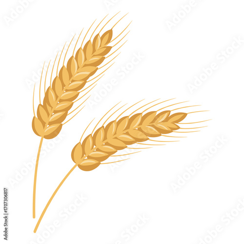Golden wheat ears – flat illustration