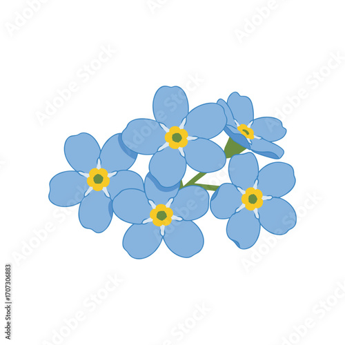 Blue forget-me-not flowers illustration with yellow centers – flat illustration