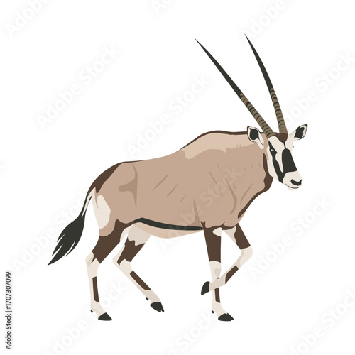 Elegant oryx with long horns standing gracefully – flat illustration