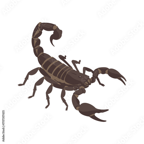 Illustration of a detailed scorpion – flat illustration