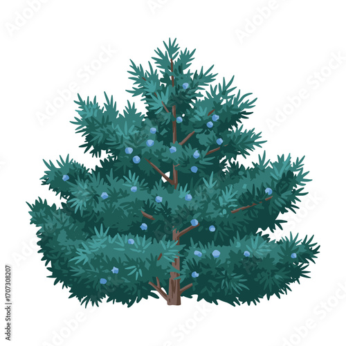Vibrant evergreen shrub with blue berries and lush foliage – flat illustration
