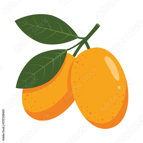 Illustration of kumquats with green leaves – flat illustration