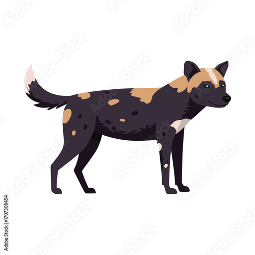 African wild dog illustration with unique color pattern – flat illustration
