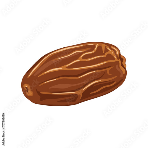 Dried brown date fruit – flat illustration