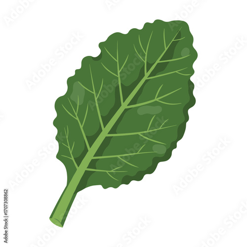 Cartoon green kale leaf – flat illustration