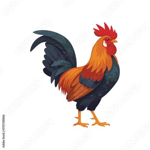Colorful rooster with red comb and feathers – flat illustration