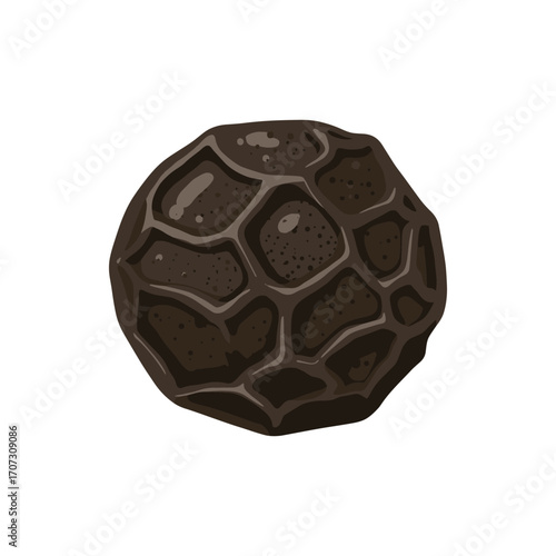 Close-up of whole black peppercorn with textured surface – flat illustration