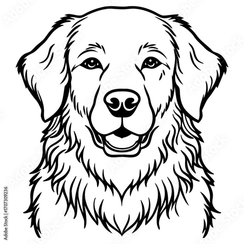 Detailed line art illustration of golden retriever dog head facing forward