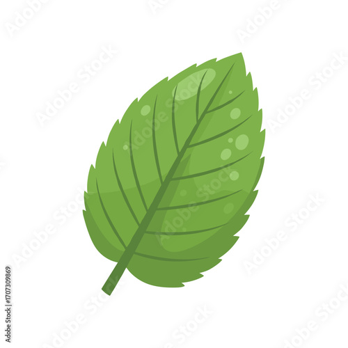 Bright green mint leaf with water droplets – flat illustration