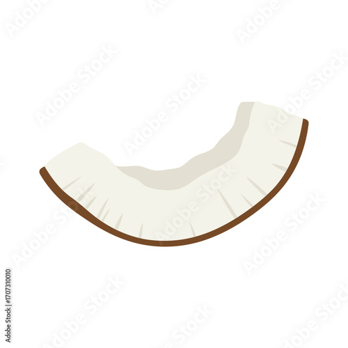 Isolated coconut slice – flat illustration