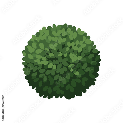Top view of lush green round shrub with dense foliage – flat illustration