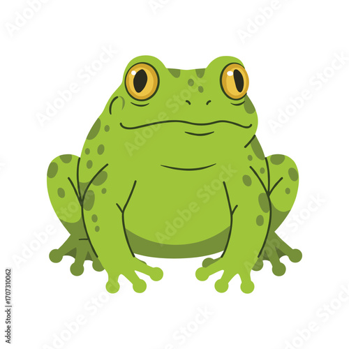 Cartoon green frog with spots – flat illustration