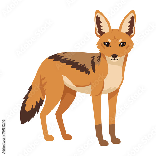 Illustrated standing jackal with bushy tail and pointed ears – flat illustration