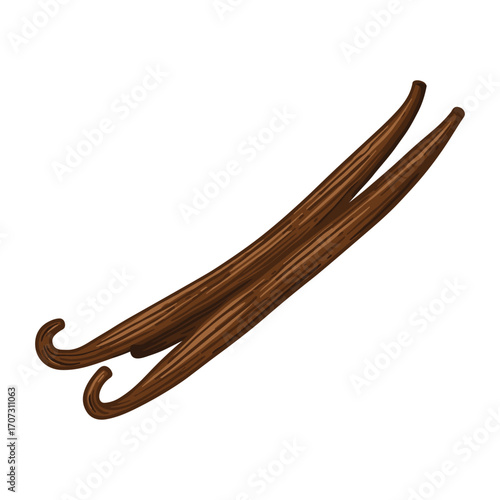 Realistic vanilla beans illustration – flat illustration