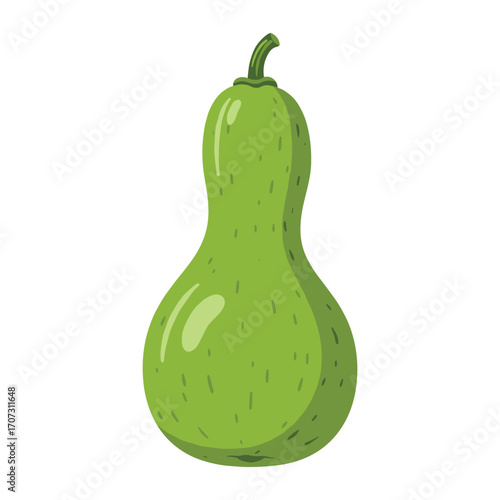 Green pear-shaped zucchini – flat illustration