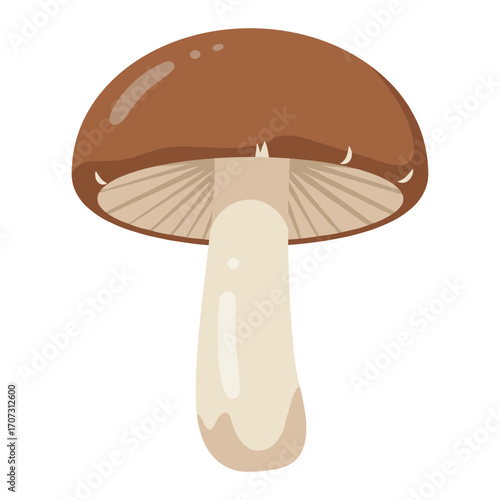 Illustration of brown mushroom with smooth cap and textured stem – flat illustration