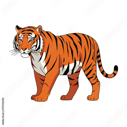 Illustration of a majestic tiger with prominent stripes – flat illustration