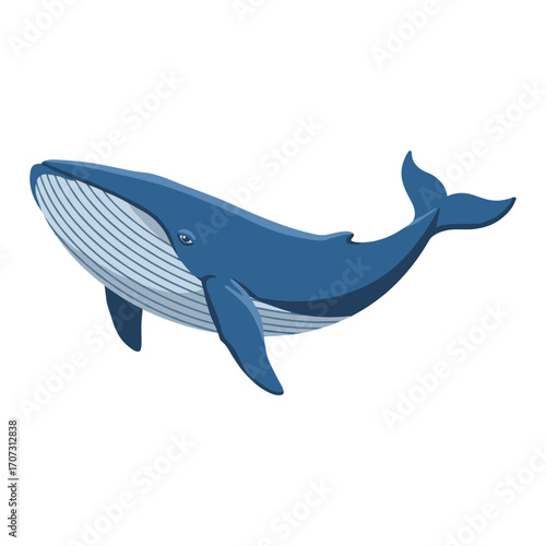 Blue whale illustration: majestic ocean giant with detailed features – flat illustration