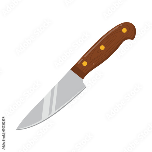 Stainless steel kitchen knife with wooden handle – flat illustration
