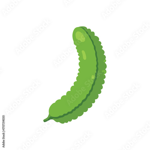 Green bitter melon cartoon illustration – flat illustration